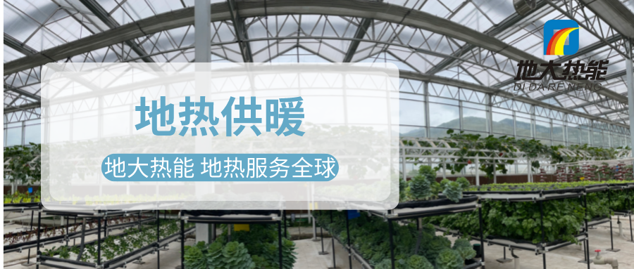 发挥地热资源优势，地热农业实现花卉产业特色发展 | 地大热能 地热服务全球