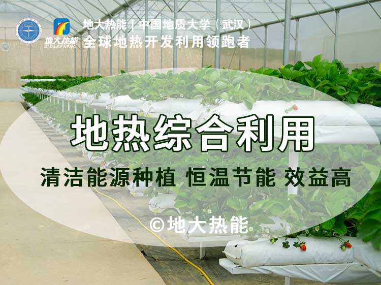 地热农业种植养殖工程：增加农产品收入提高产量节能环保-地大热能