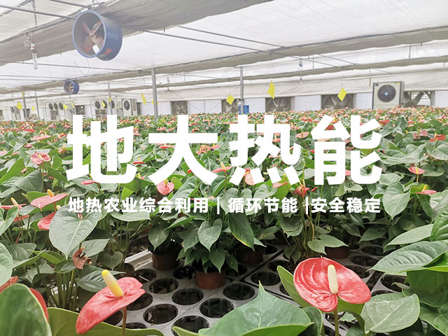 地热农业温室种植应用-地大热能