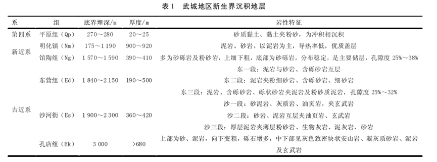 基于中深层水热型地热资源规模高效开发的实践与思考-地大热能